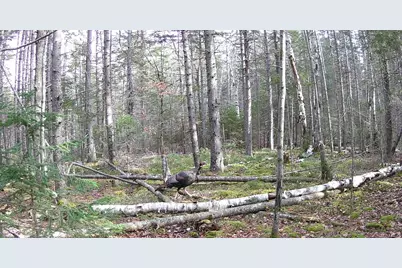 Lot 42 Colby Road, Westport, ME 04578 - Photo 29