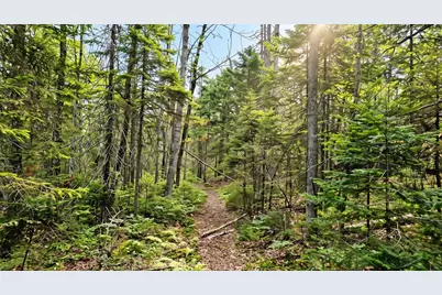 Lot 42 Colby Road, Westport, ME 04578 - Photo 13