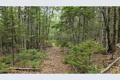 Lot 42 Colby Road, Westport, ME 04578 - Photo 25