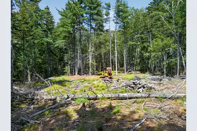 Lot 42 Colby Road, Westport, ME 04578 - Photo 35