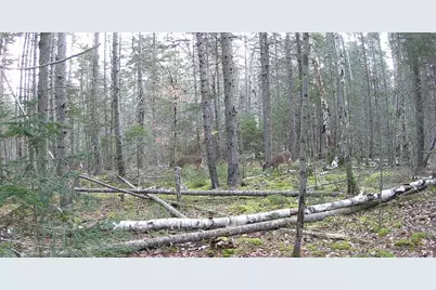 Lot 42 Colby Road, Westport, ME 04578 - Photo 27