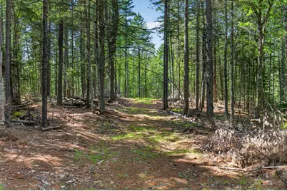 Lot 42 Colby Road, Westport, ME 04578 - Photo 41