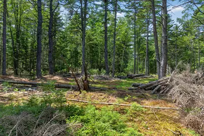 Lot 42 Colby Road, Westport, ME 04578 - Photo 39