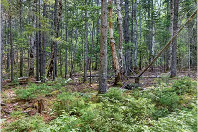 Lot 42 Colby Road, Westport, ME 04578 - Photo 43