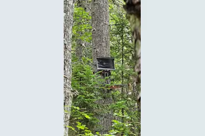 Lot 42 Colby Road, Westport, ME 04578 - Photo 21