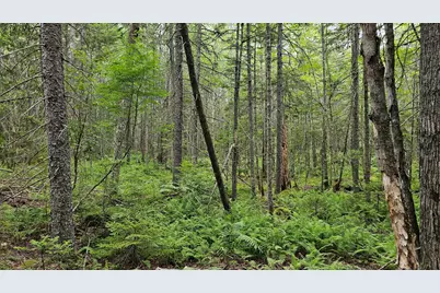Lot 42 Colby Road, Westport, ME 04578 - Photo 19