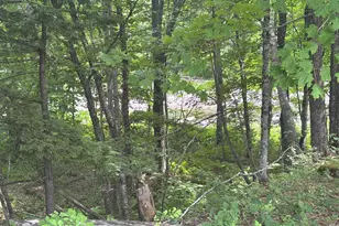 116 River Rd, New Portland, ME 04961 - Photo 7