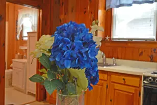 586 Kings Hwy, Kennebunkport, ME 04046 - Photo 9