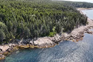 3 Butler Rd, Frenchboro, ME 04685 - Photo 1