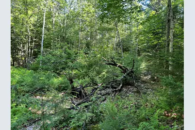 M8B40L3 Hamm Road, Frankfort, ME 04438 - Photo 15