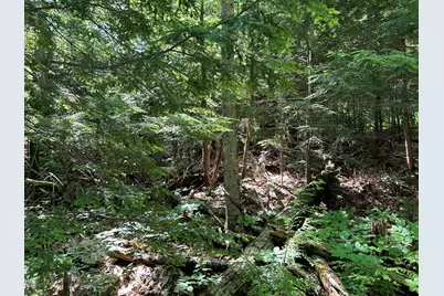 M8B40L3 Hamm Road, Frankfort, ME 04438 - Photo 7