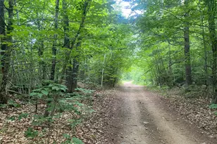 36Ac Tucker Rd, Porter, ME 04068 - Photo 1