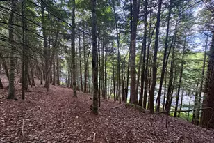 219 River Rd, Maxfield, ME 04453 - Photo 47