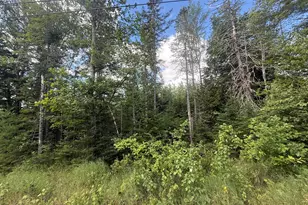 Lot #11 Russell Hill Rd, Bucksport, ME 04416 - Photo 1
