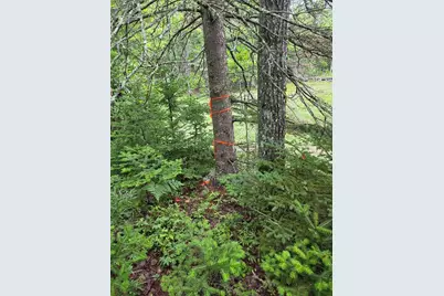 Lot 175 Poplar Lane, Milbridge, ME 04658 - Photo 15