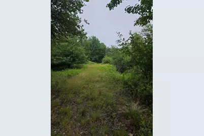 Lot 175 Poplar Lane, Milbridge, ME 04658 - Photo 9