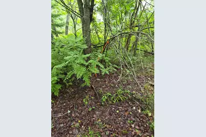 Lot 175 Poplar Lane, Milbridge, ME 04658 - Photo 11