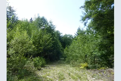 10-000031D Douglas Hill Road, Baldwin, ME 04024 - Photo 3