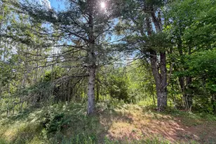 524 Millvale Rd, Bucksport, ME 04416 - Photo 1