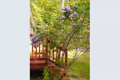 29 Dyer Lane, Casco, ME 04015 - Photo 3