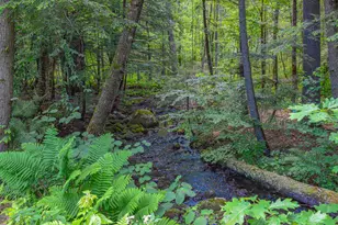 585 Parsonsfield Rd, Limerick, ME 04048 - Photo 31
