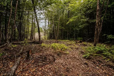 19 Sylvester Estates Drive, Greene, ME 04236 - Photo 17