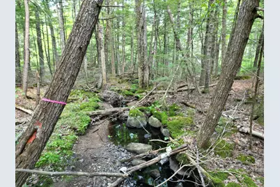 Lot 18-2 Madagascal Pond Road, Burlington, ME 04417 - Photo 3