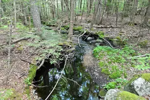 Lot 18-2 Madagascal Pond Rd, Burlington, ME 04417 - Photo 1