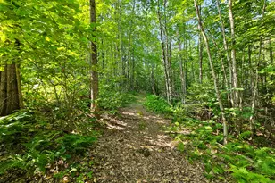 87 Cumner Rd, Vienna, ME 04360 - Photo 85