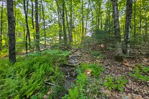 87 Cumner Rd, Vienna, ME 04360 - Photo 89