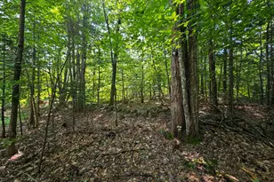 87 Cumner Rd, Vienna, ME 04360 - Photo 87