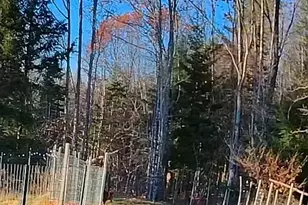 346 Bell Hill Rd, Otisfield, ME 04270 - Photo 21