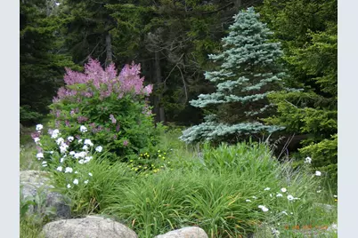 360 Red Point Road, Swans Island, ME 04685 - Photo 125