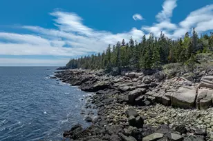 360 Red Point Rd, Swans Island, ME 04685 - Photo 119