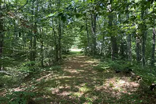 21 Blanchard Rd, Lebanon, ME 04027 - Photo 49