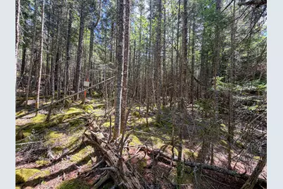 Lot 80 Yoho Head Road, Machiasport, ME 04655 - Photo 11