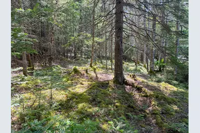 Lot 80 Yoho Head Road, Machiasport, ME 04655 - Photo 13