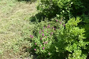 248 Paris Hill Rd, Paris, ME 04281 - Photo 27