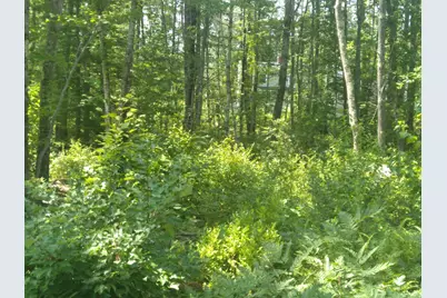 136 Lot 2 Harry Howes Road, Sanford, ME 04073 - Photo 5