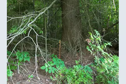 Lot 25 Lee Road, Lincoln, ME 04457 - Photo 3