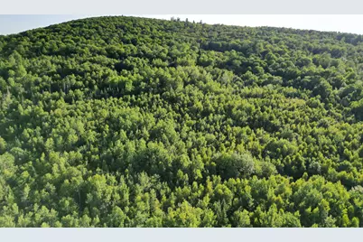 Lot 25 Lee Road, Lincoln, ME 04457 - Photo 7
