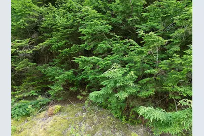 Lot 27 Lee Road, Lincoln, ME 04457 - Photo 3