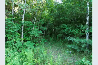 Lot 26 Lee Road, Lincoln, ME 04457 - Photo 5