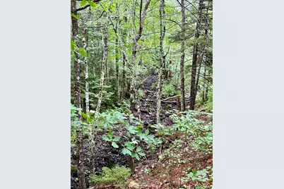 Lot 35 Guzzle Road, Gouldsboro, ME 04607 - Photo 5