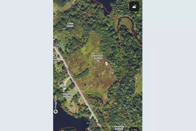 Lot 35 Guzzle Road, Gouldsboro, ME 04607 - Photo 13