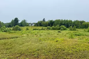 Lot 35 Guzzle Rd, Gouldsboro, ME 04607 - Photo 1