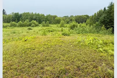 Lot 35 Guzzle Road, Gouldsboro, ME 04607 - Photo 9