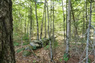 Tbd Bridgton Rd, Sebago, ME 04029 - Photo 1