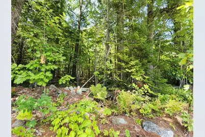 Tbd Bridgton Road, Sebago, ME 04029 - Photo 3