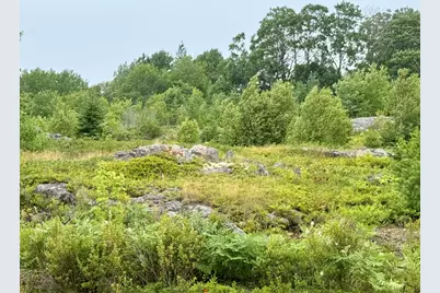 Lot 12A Us-1, Gouldsboro, ME 04607 - Photo 9